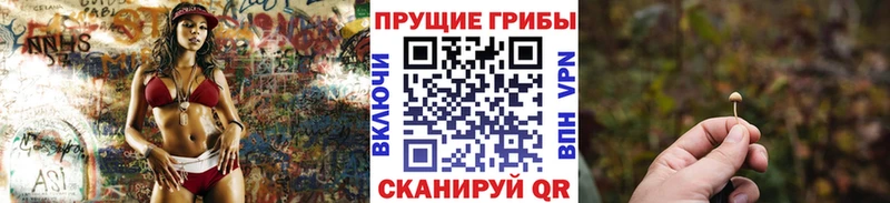 MEGA ссылка  Талдом  Галлюциногенные грибы Psilocybine cubensis 